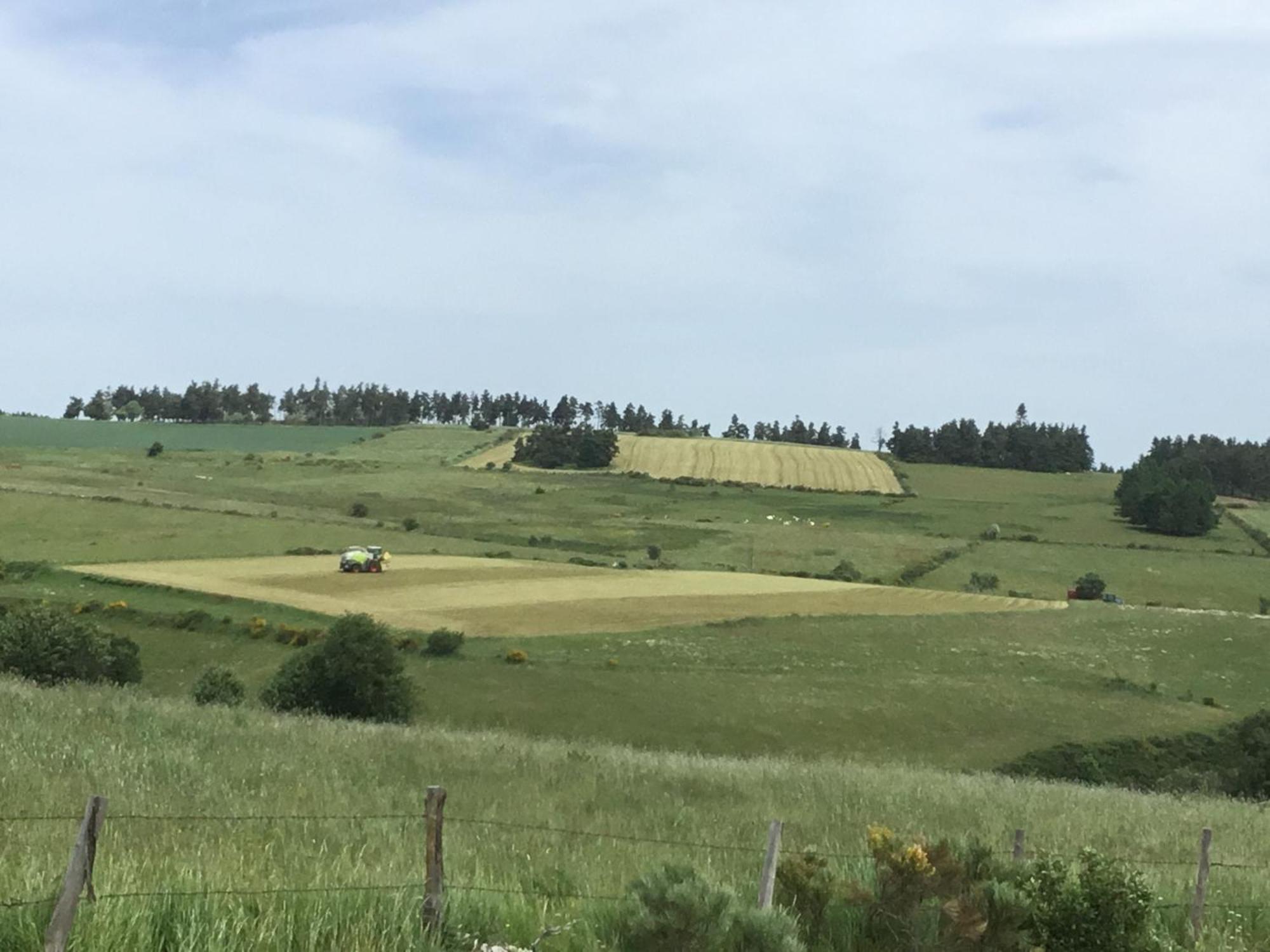 Le Chalet Du Roc La Panouse  Kültér fotó